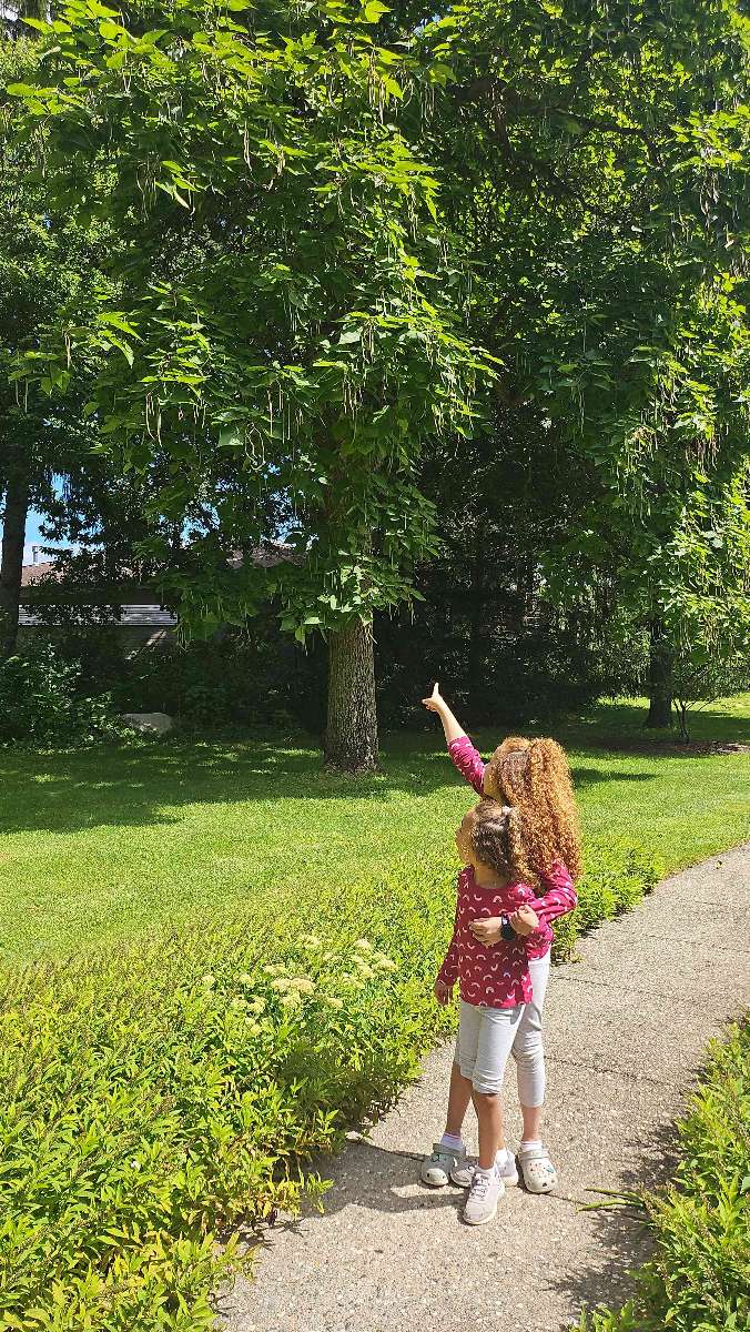 Midland Michigan Scavenger Hunt scavenger hunt photos