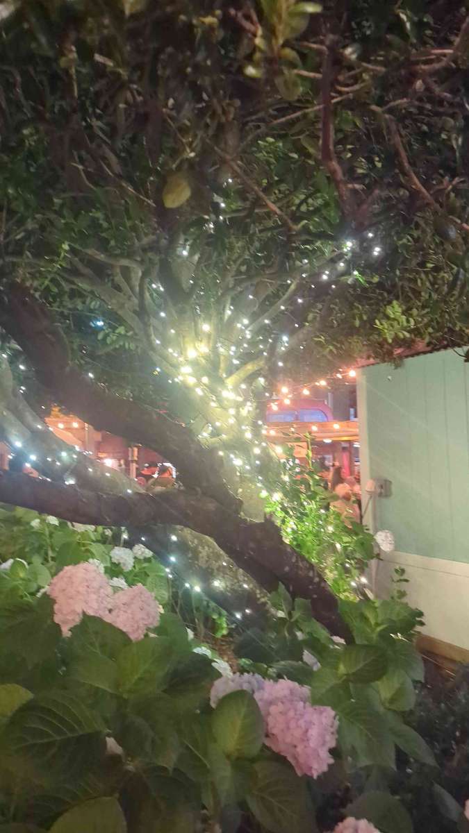 Virginia Beach Downtown Scavenger Hunt scavenger hunt photos