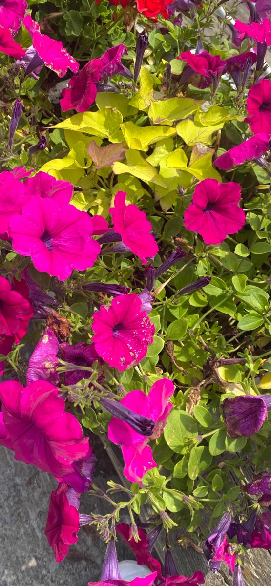 University of Southern Maine Scavenger Hunt scavenger hunt photos