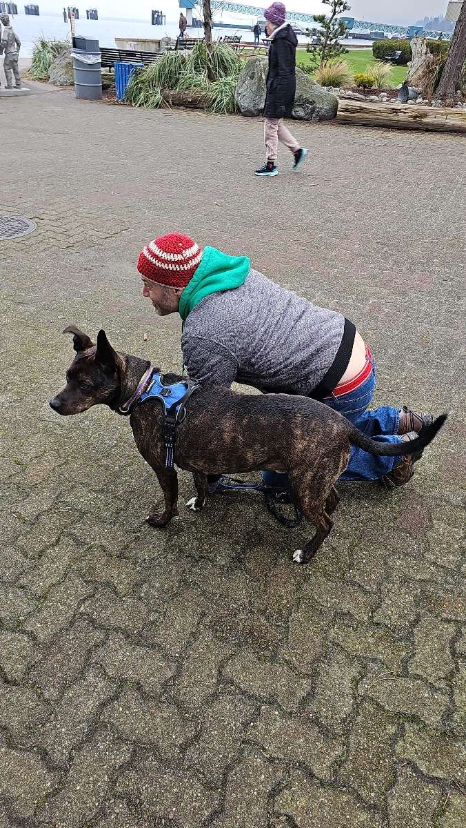 Edmonds 寻宝游戏 照片