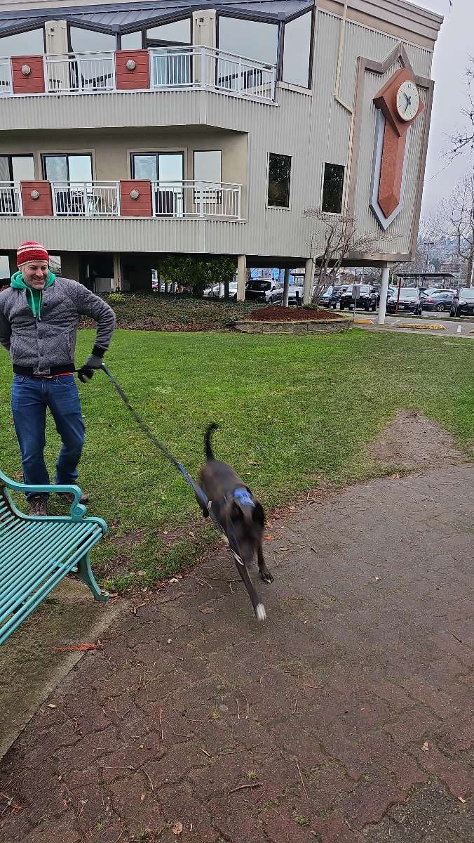 Edmonds 寻宝游戏 照片