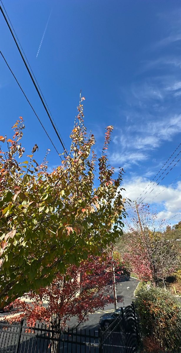 תמונות של חיפוש המטמון של קולומביה פנסילבניה