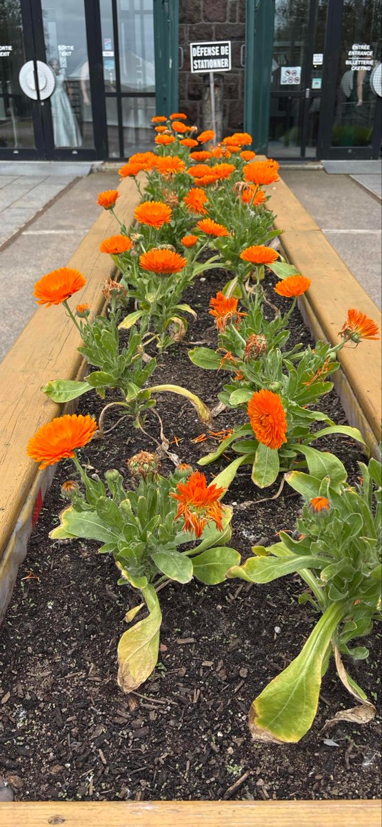 Saguenay Scavenger Hunt scavenger hunt photos