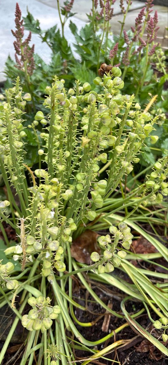 Guilford Center Scavenger Hunt scavenger hunt photos