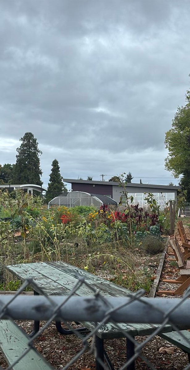 Hillsboro Oregon Scavenger Hunt scavenger hunt photos