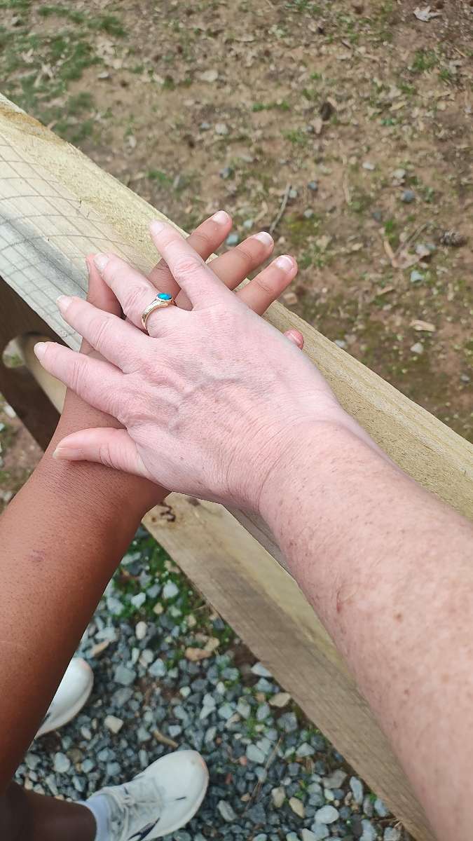 Fotografier fr&aring;n Cary North Carolina Scavenger Hunt