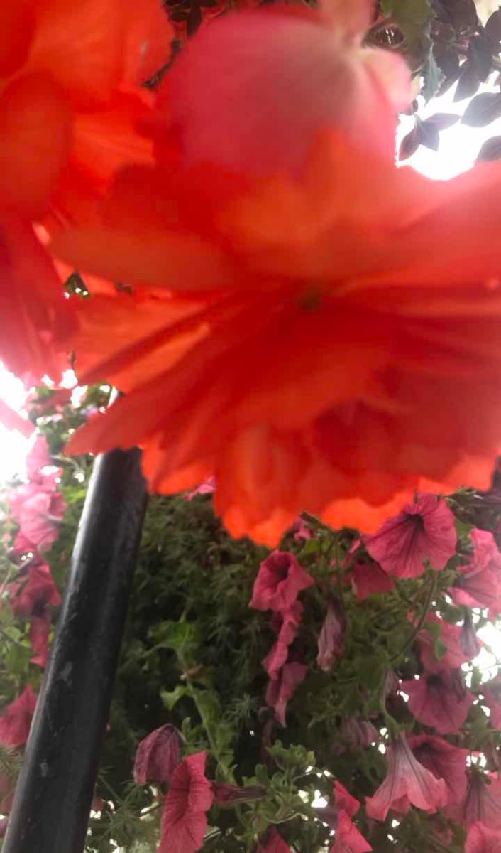 Sidmouth Scavenger Hunt scavenger hunt photos