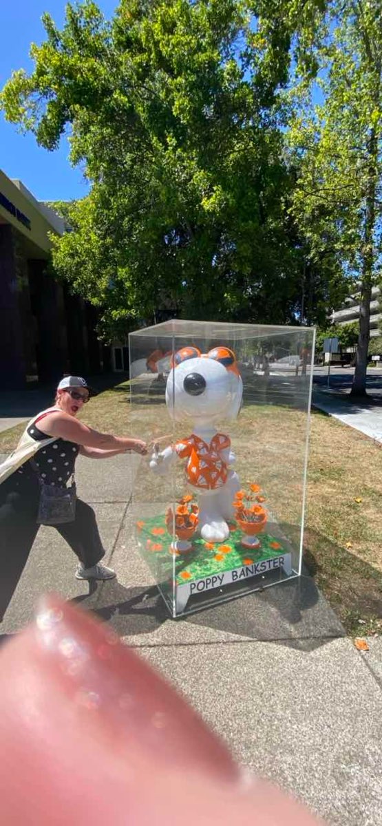 Foto della caccia al tesoro di Santa Rosa