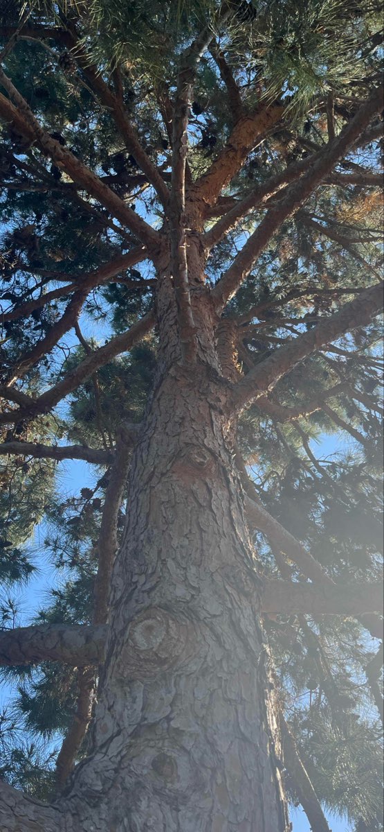 University of California--Irvine Scavenger Hunt scavenger hunt photos