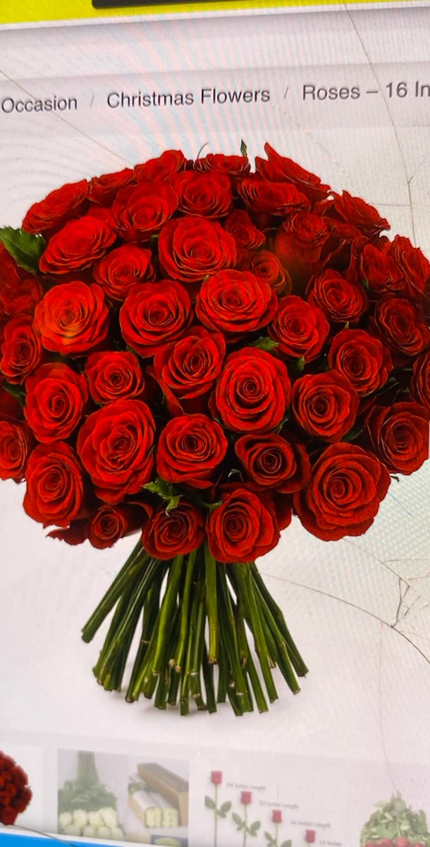 पॉप कल्चर&colon; ए क्रिसमस स्टोरी लोकेशन्स स्कैवेंजर हंट स्कैवेंजर हंट फ़ोटो