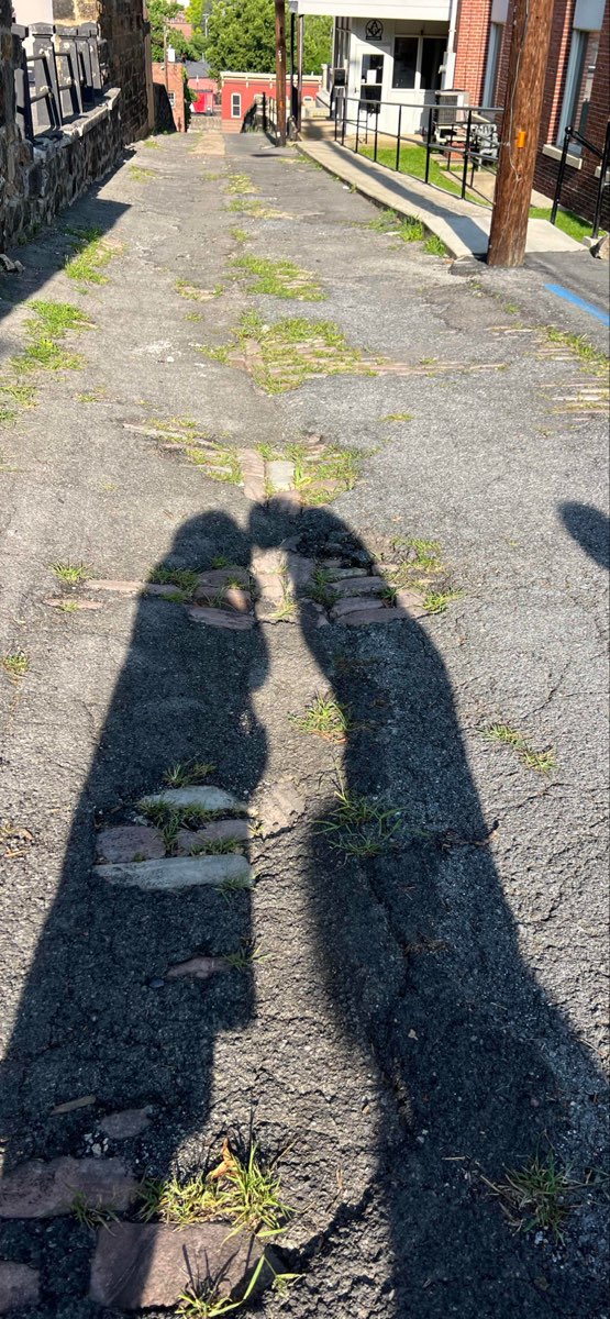 컴벌랜드 스캐빈저 헌트 스캐빈저 헌트 사진