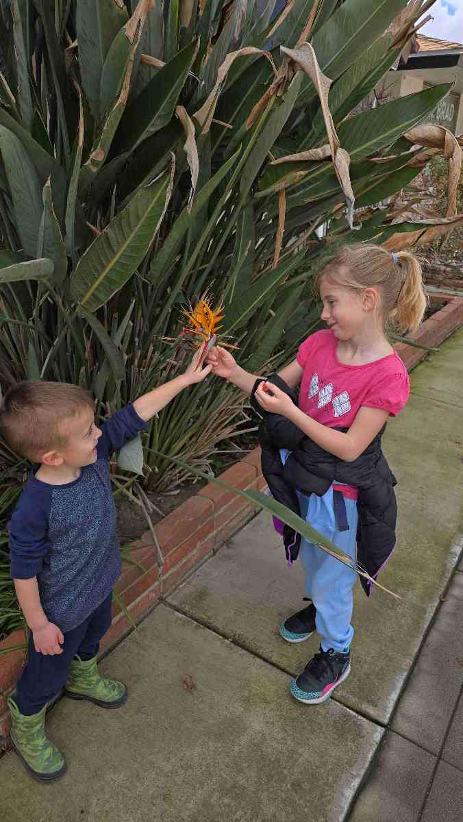 Kern County Museum Scavenger Hunt scavenger hunt photos