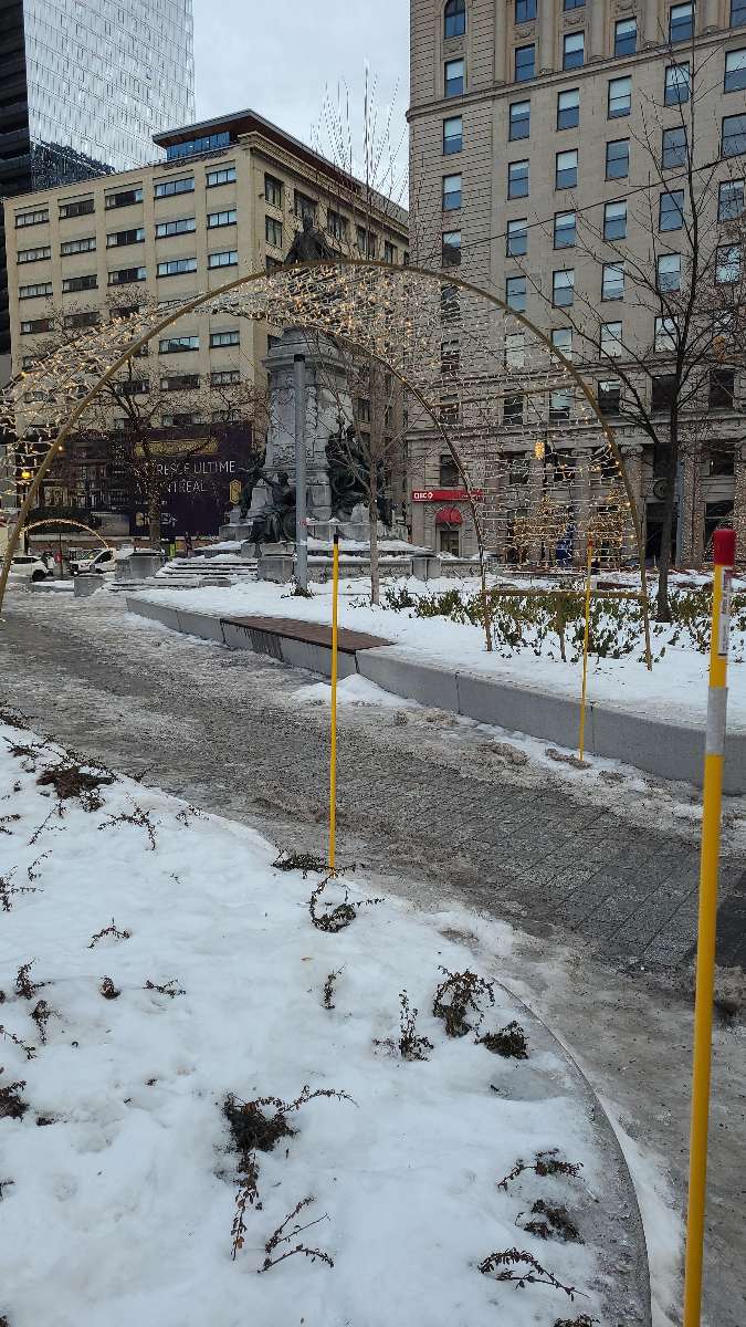 ヴィルマリー・スカベンジャーハントのスカベンジャーハント写真