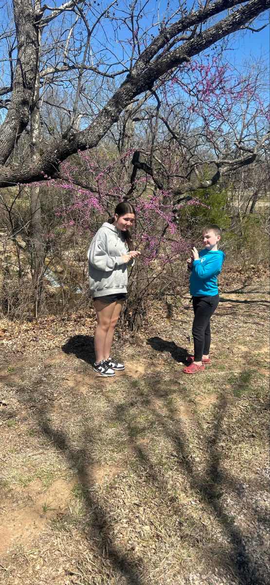 Sulphur Scavenger Hunt hazine avı fotoğrafları