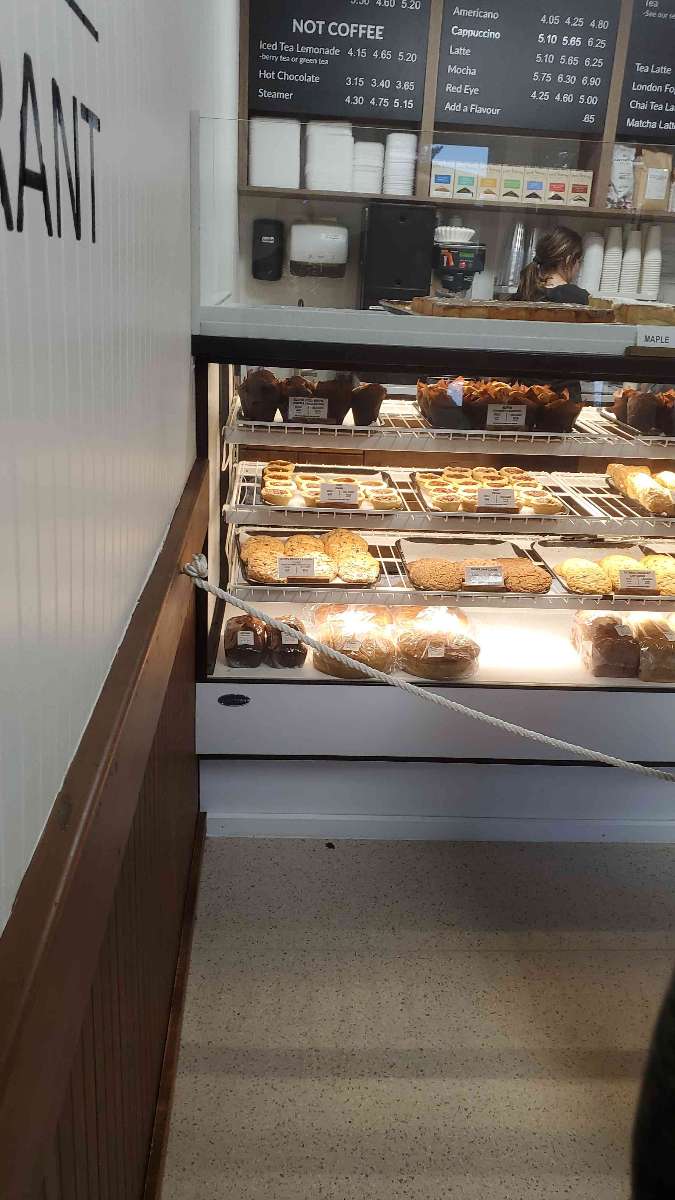 Wasagaming Scavenger Hunt scavenger hunt photos