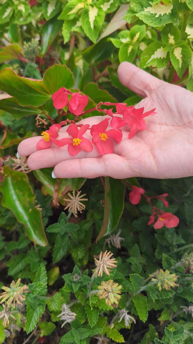 Crossville Scavenger Hunt scavenger hunt photos