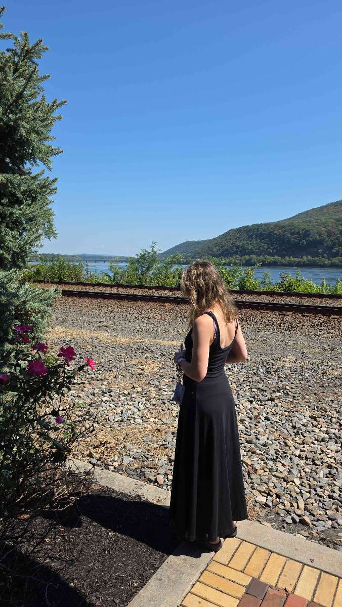 תמונות מחיפוש המטמון של דאנקנון