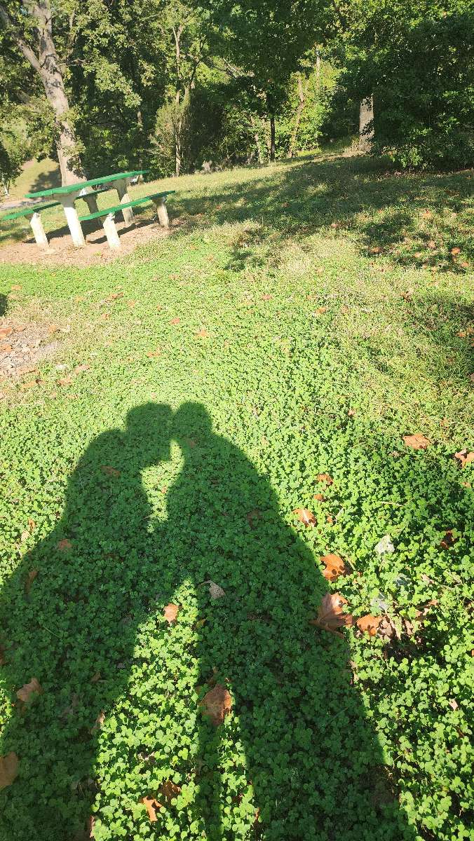 Cincinnati Downtown Scavenger Hunt scavenger hunt photos