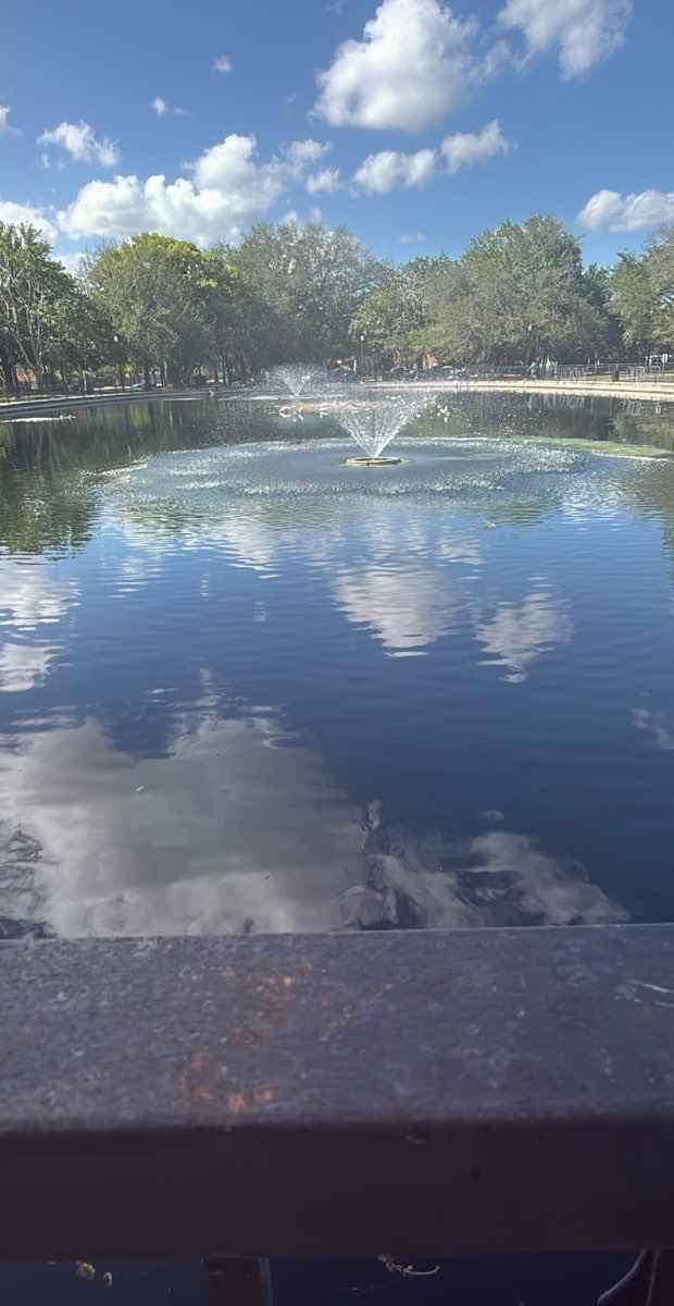 Jacksonville Florida Scavenger Hunt hazine avı fotoğrafları