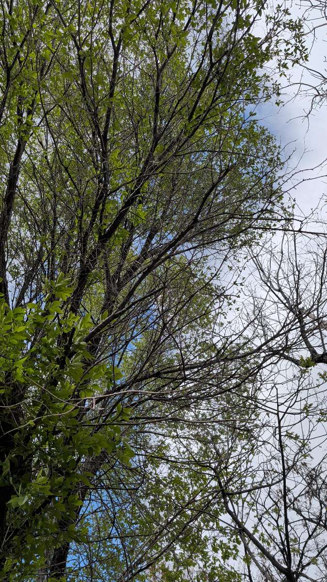 Фотографии с квеста в Дженоа, Невада