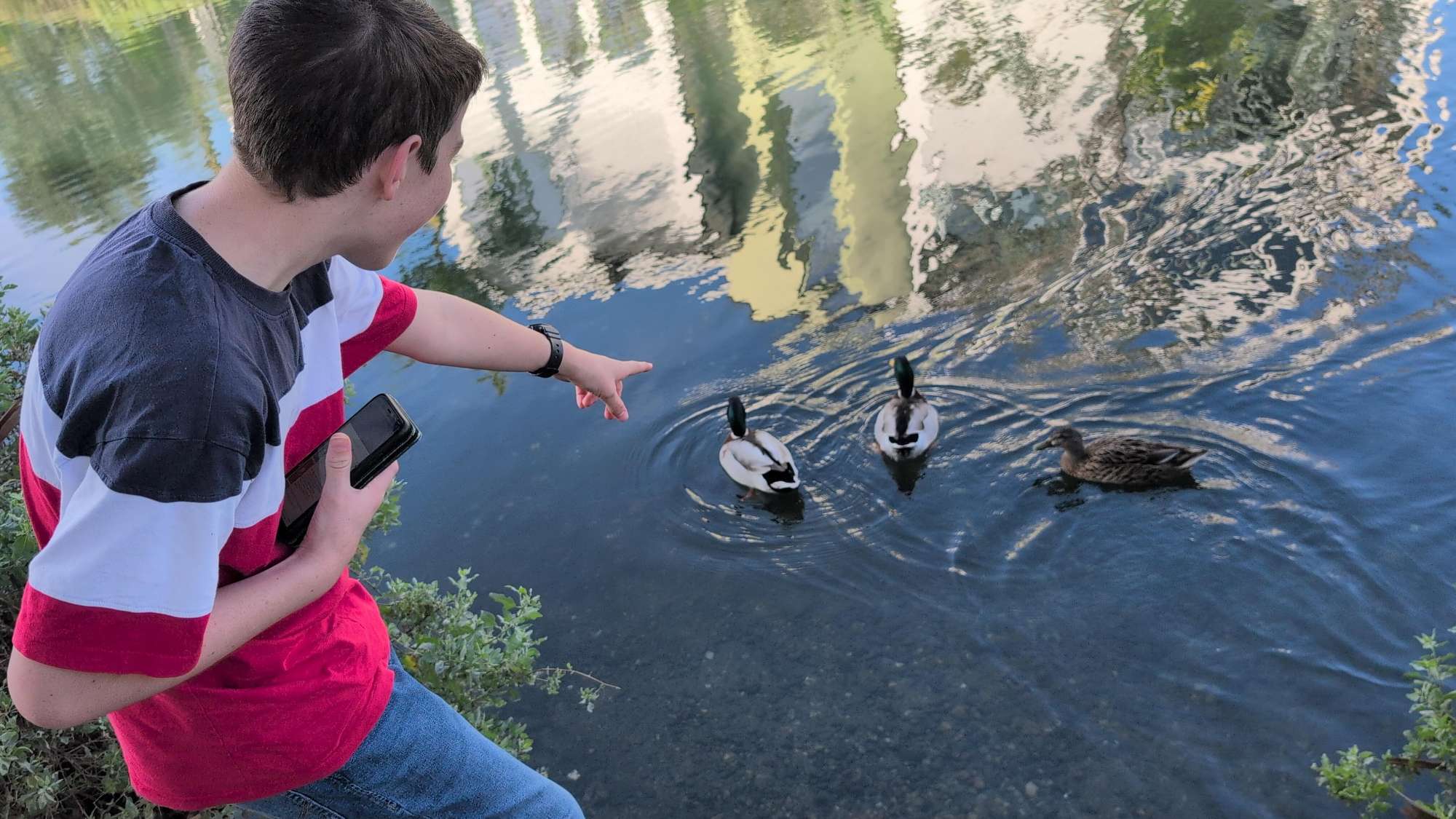 Loyola Marymount University Skattejagt scavenger hunt billeder