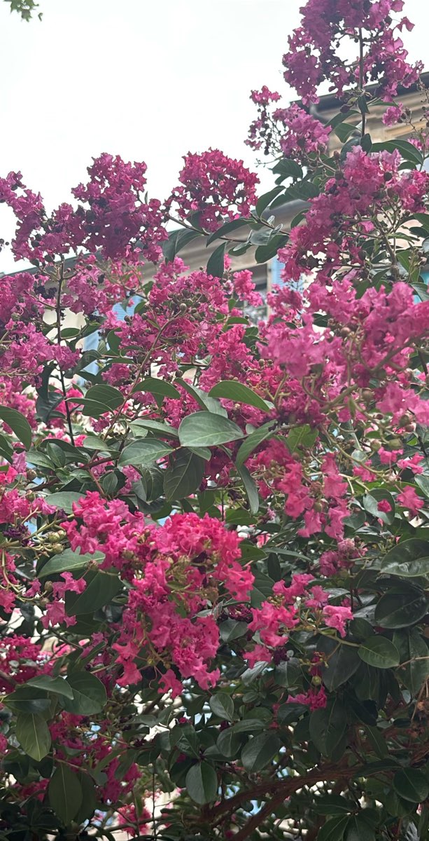 Fotos da caça ao tesouro de Epinal