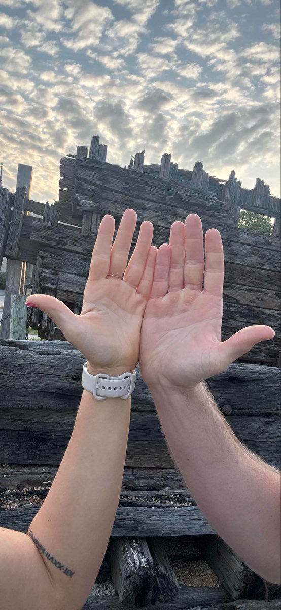 시보이건 스캐빈저 헌트 스캐빈저 헌트 사진