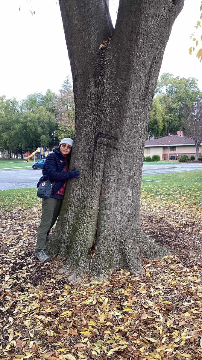 Fremont California Scavenger Hunt poze cu v&acirc;n&abreve;toare de comori