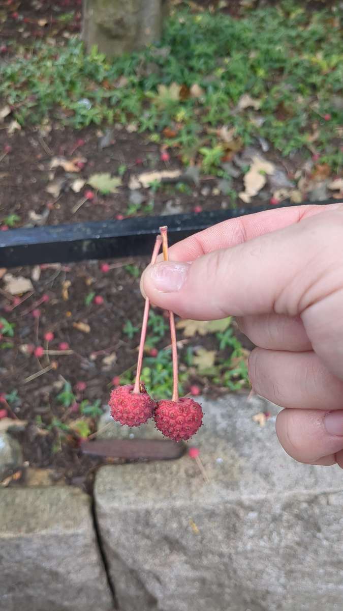 Providence Scavenger Hunt scavenger hunt photos