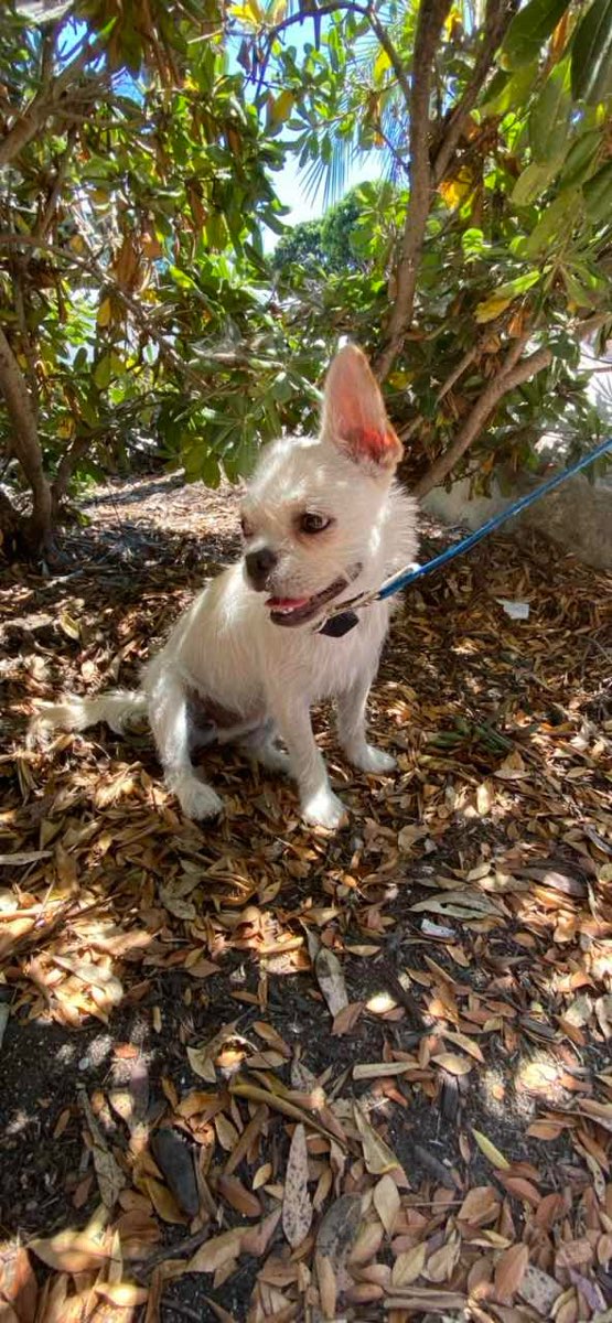 Seal Beach Scavenger Hunt scavenger hunt photos