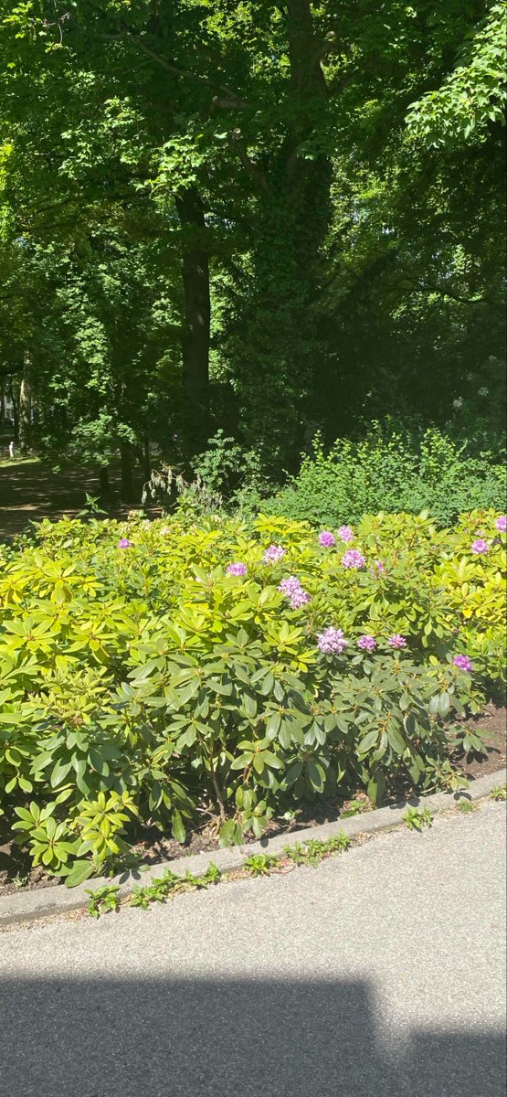 Fotografier från Utrecht Skattjakt