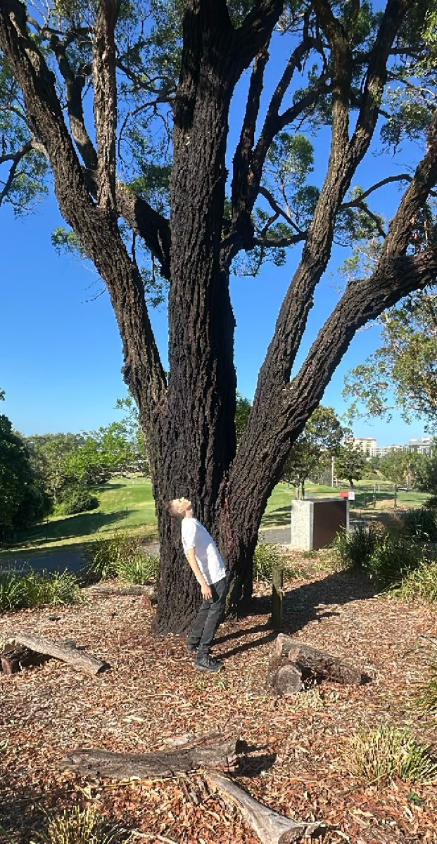 ภาพถ่ายการล่าสมบัติของมหาวิทยาลัยควีนส์แลนด์