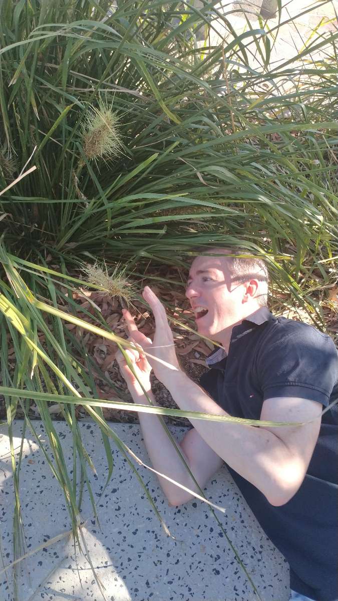 ภาพถ่ายการล่าสมบัติของมหาวิทยาลัยควีนส์แลนด์