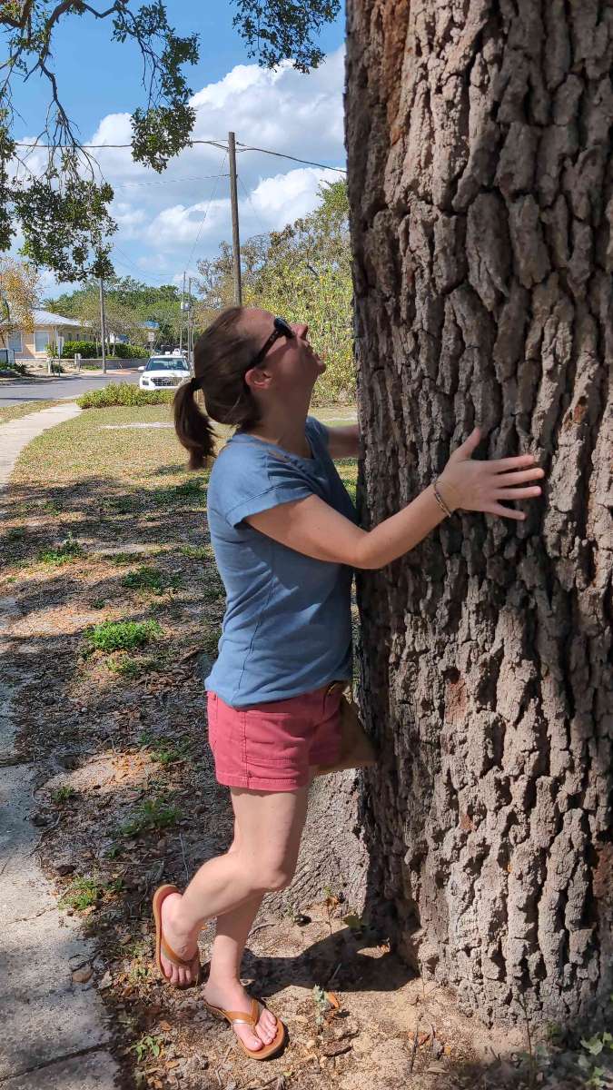 セーフティハーバー・スカベンジャーハントのスカベンジャーハント写真