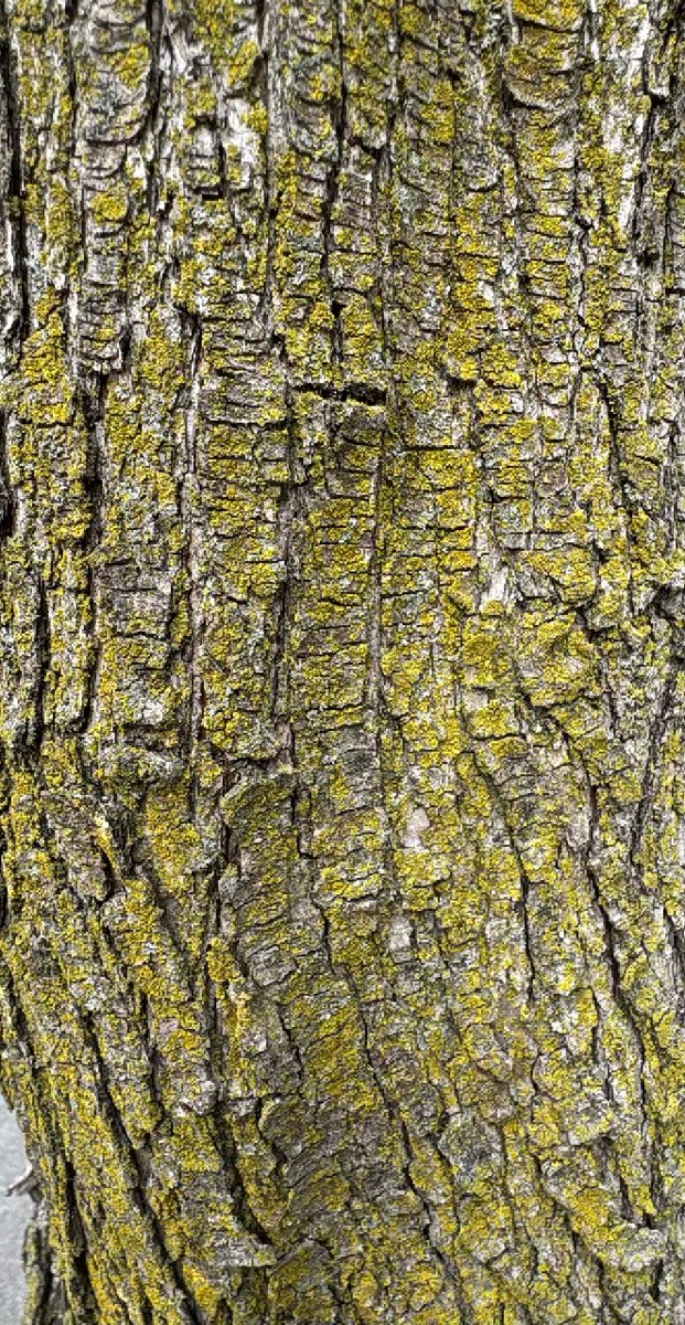 Fotografii "York Pennsylvania Scavenger Hunt"