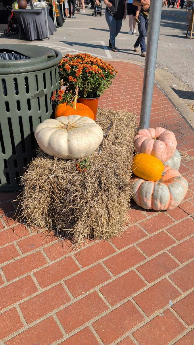 Canton Texas Scavenger Hunt scavenger hunt photos