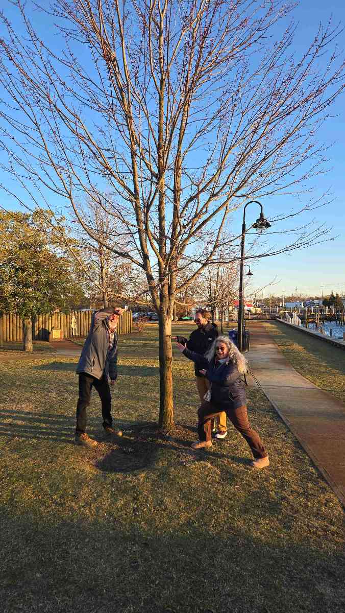 Toms River Scavenger Hunt 寻宝照片