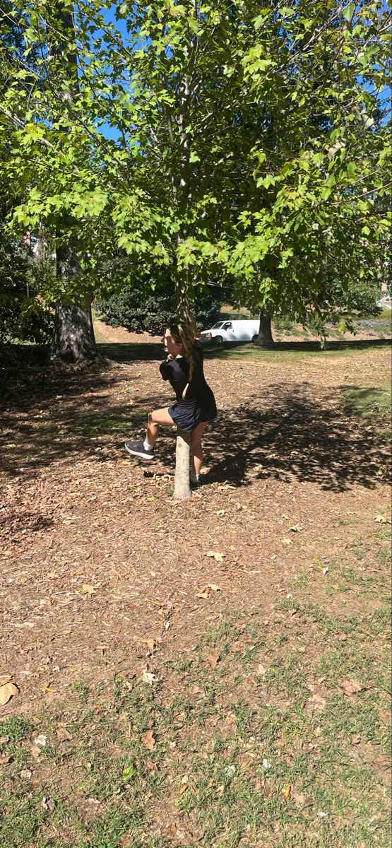 חיפוש אוצרות לבניית צוות