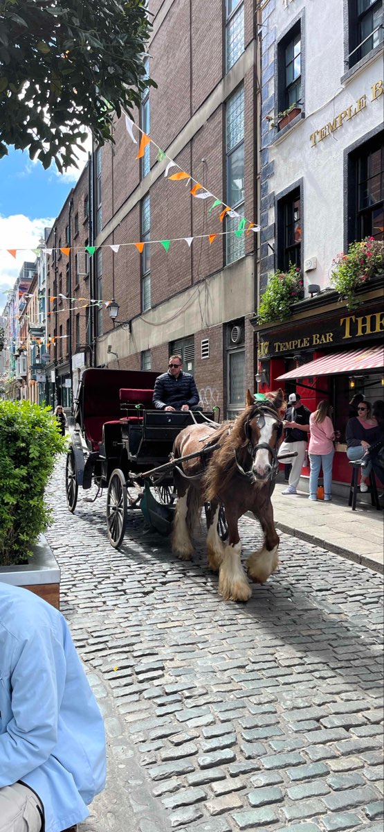 Dublin Ireland Scavenger Hunt scavenger hunt photos