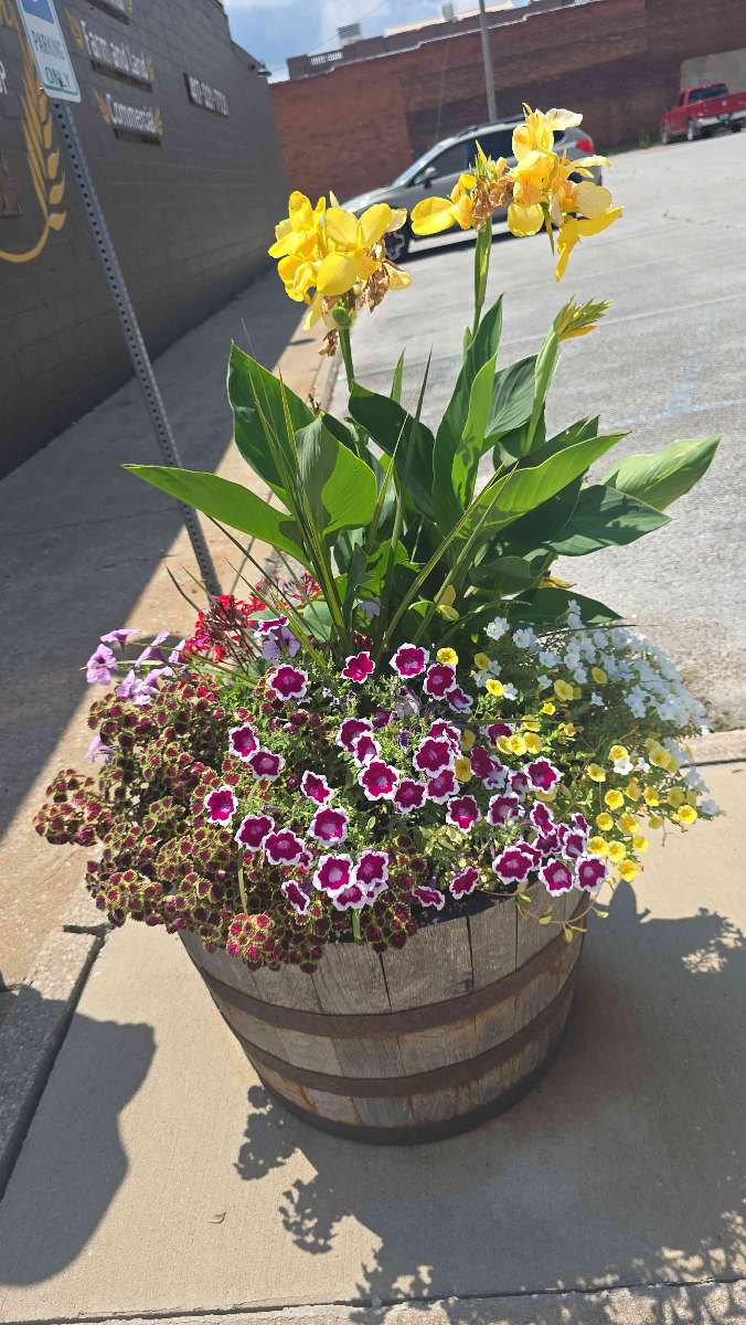 Nevada Scavenger Hunt scavenger hunt photos