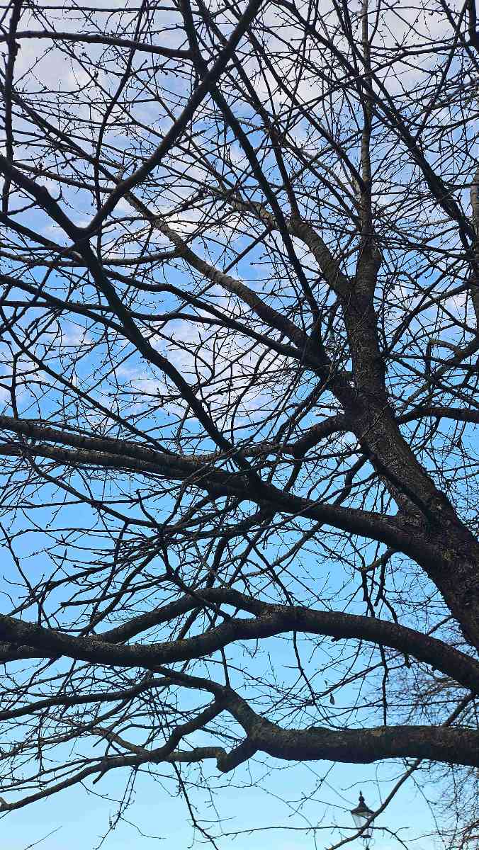 รูปภาพกิจกรรมล่าสมบัติ Maidstone Scavenger Hunt