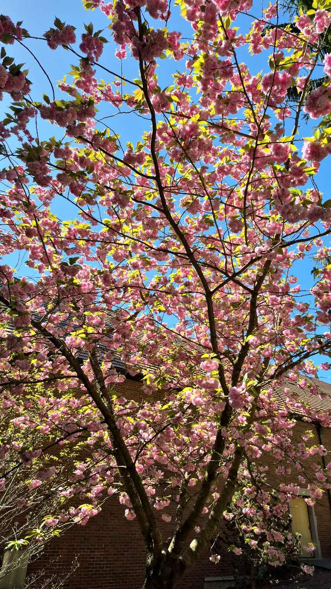 Zdjęcia z gry terenowej Tacoma Scavenger Hunt