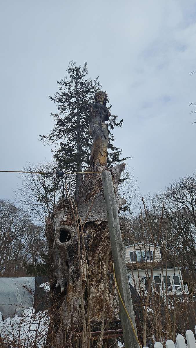 Skattejagt p&aring; Lake Ronkonkoma - billeder