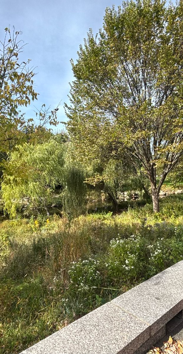 Stamford Connecticut Scavenger Hunt scavenger hunt photos