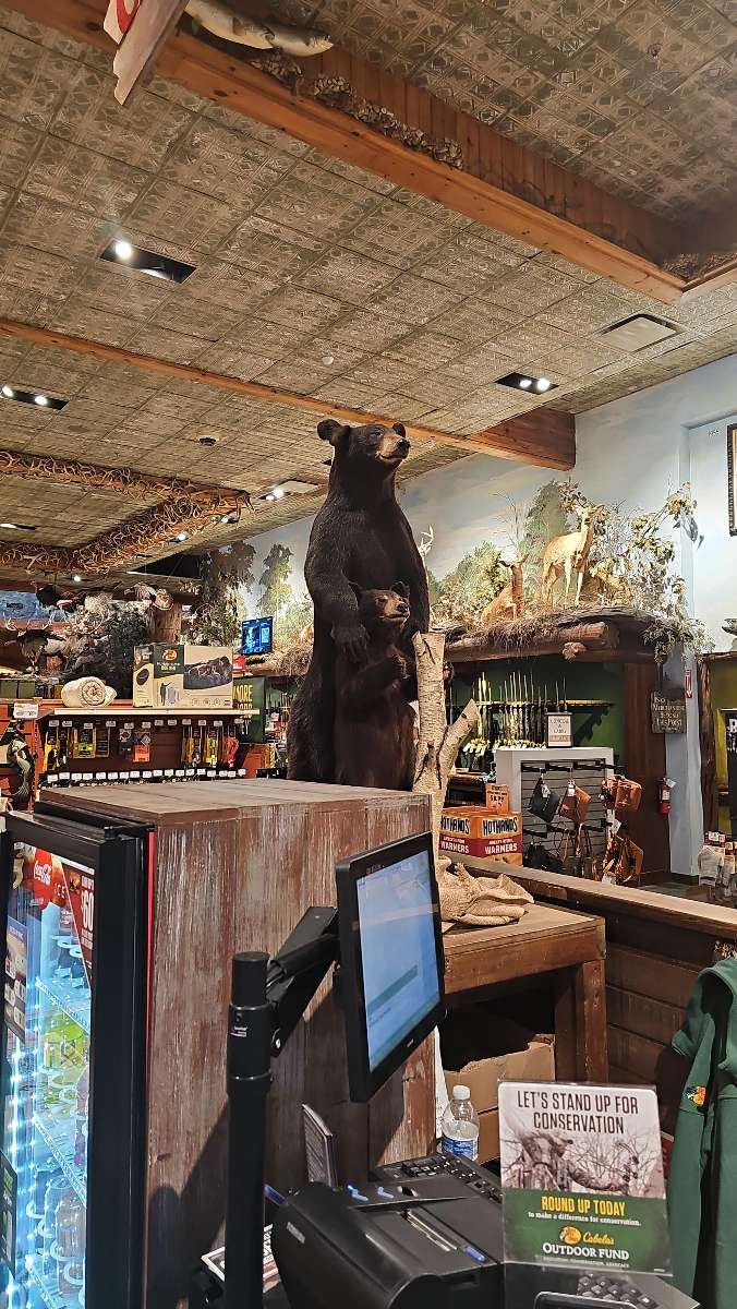 Billeder fra Branson Scavenger Hunt