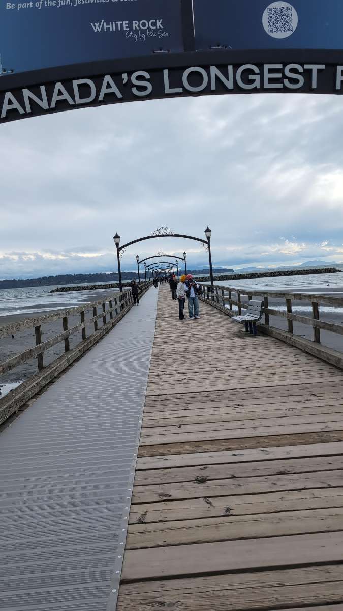 ホワイトロック・スカベンジャーハント スカベンジャーハントの写真