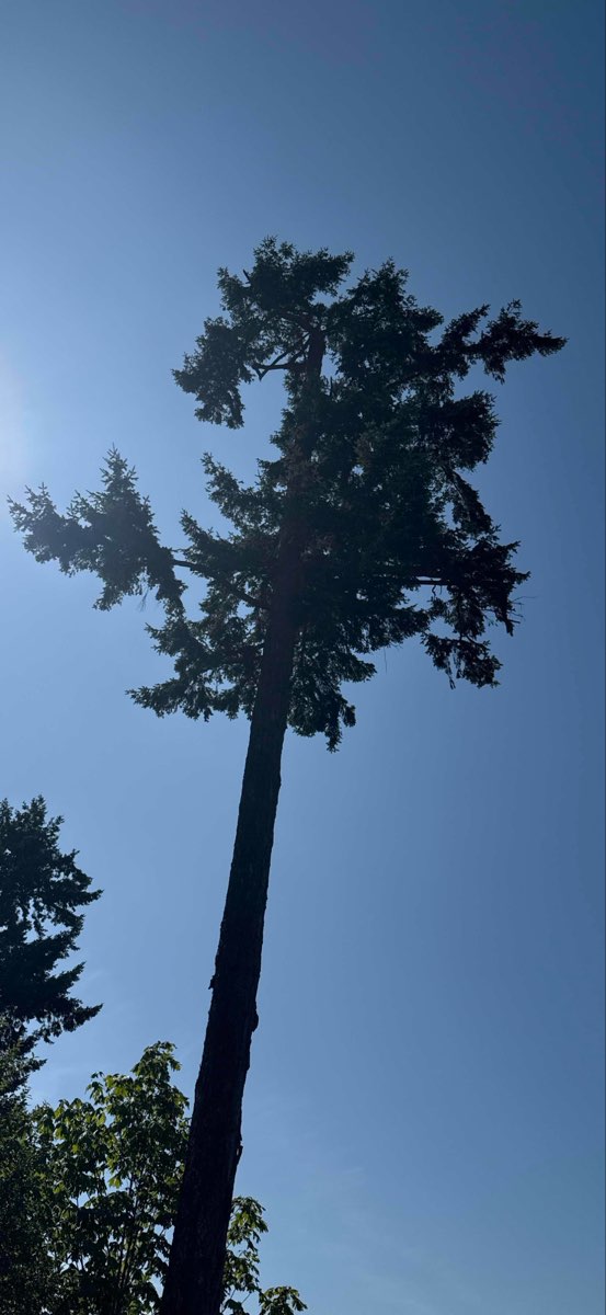 Vancouver British Columbia Downtown Scavenger Hunt scavenger hunt photos