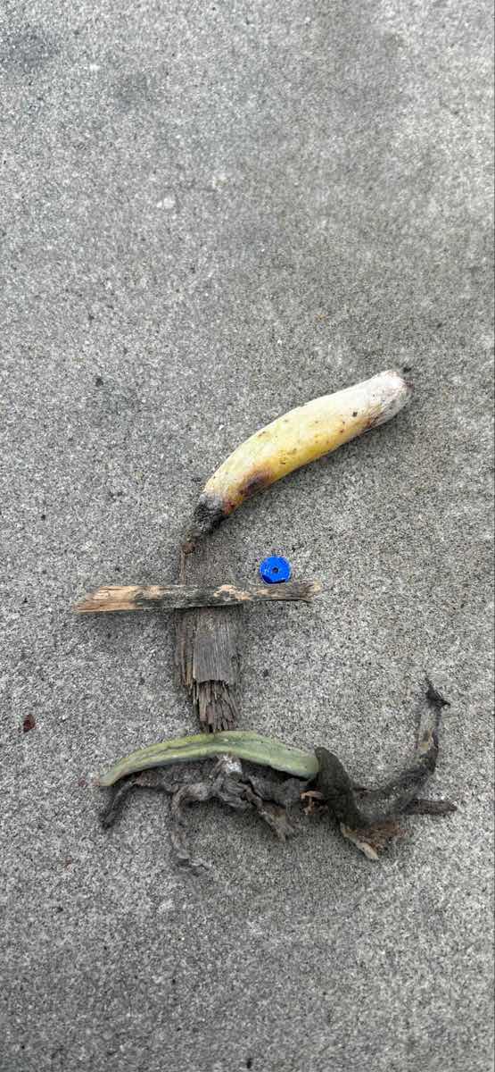 Newport Center Scavenger Hunt scavenger hunt photos