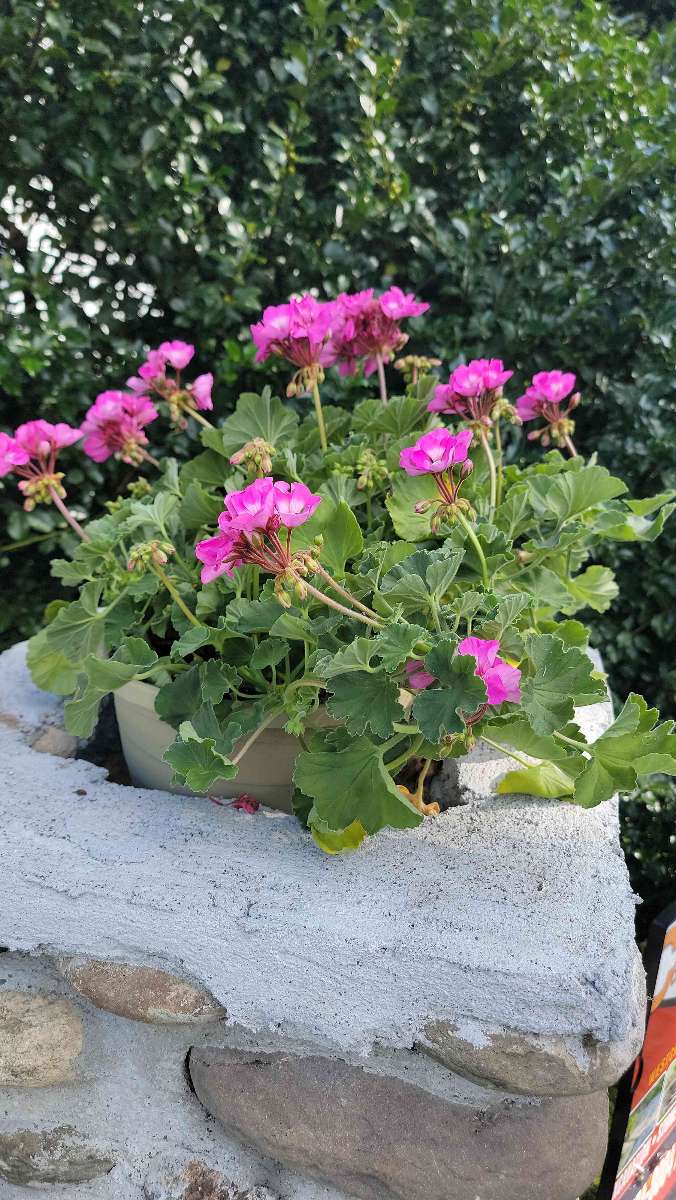 Cold Spring Scavenger Hunt scavenger hunt photos