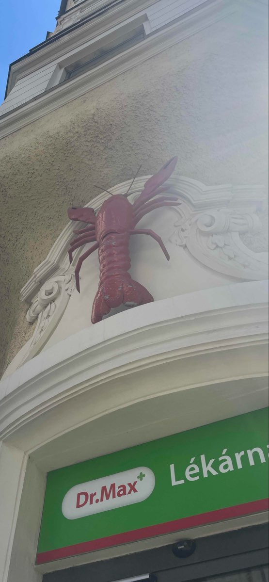 รูปภาพกิจกรรม Let's Roam Brno Scavenger Hunt